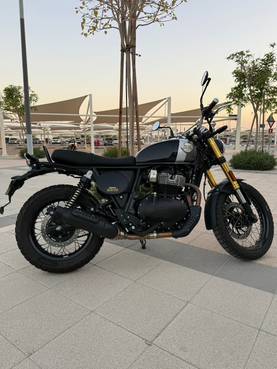 2025 Royal Enfield Bear 650
