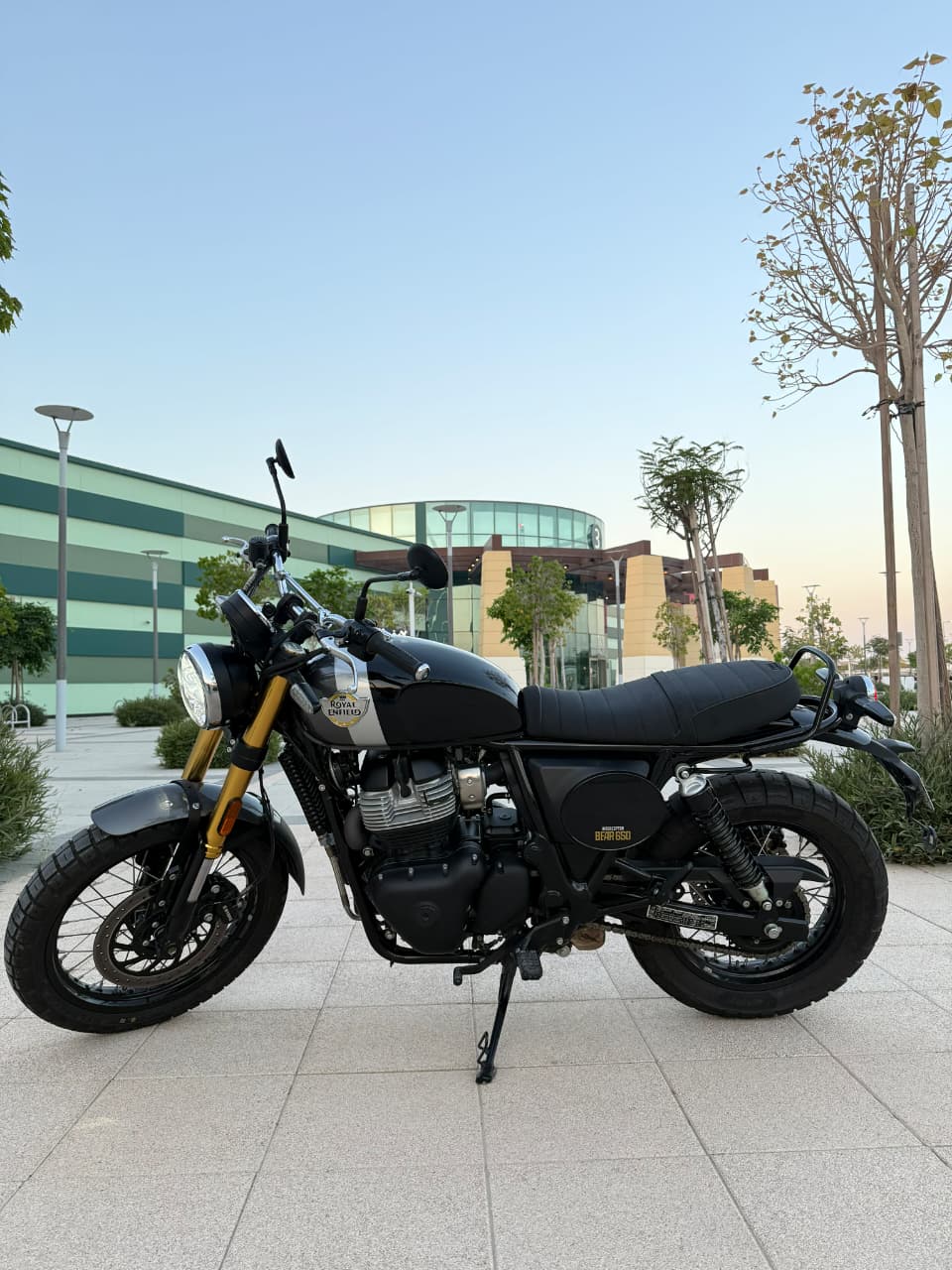 2025 Royal Enfield Bear 650
