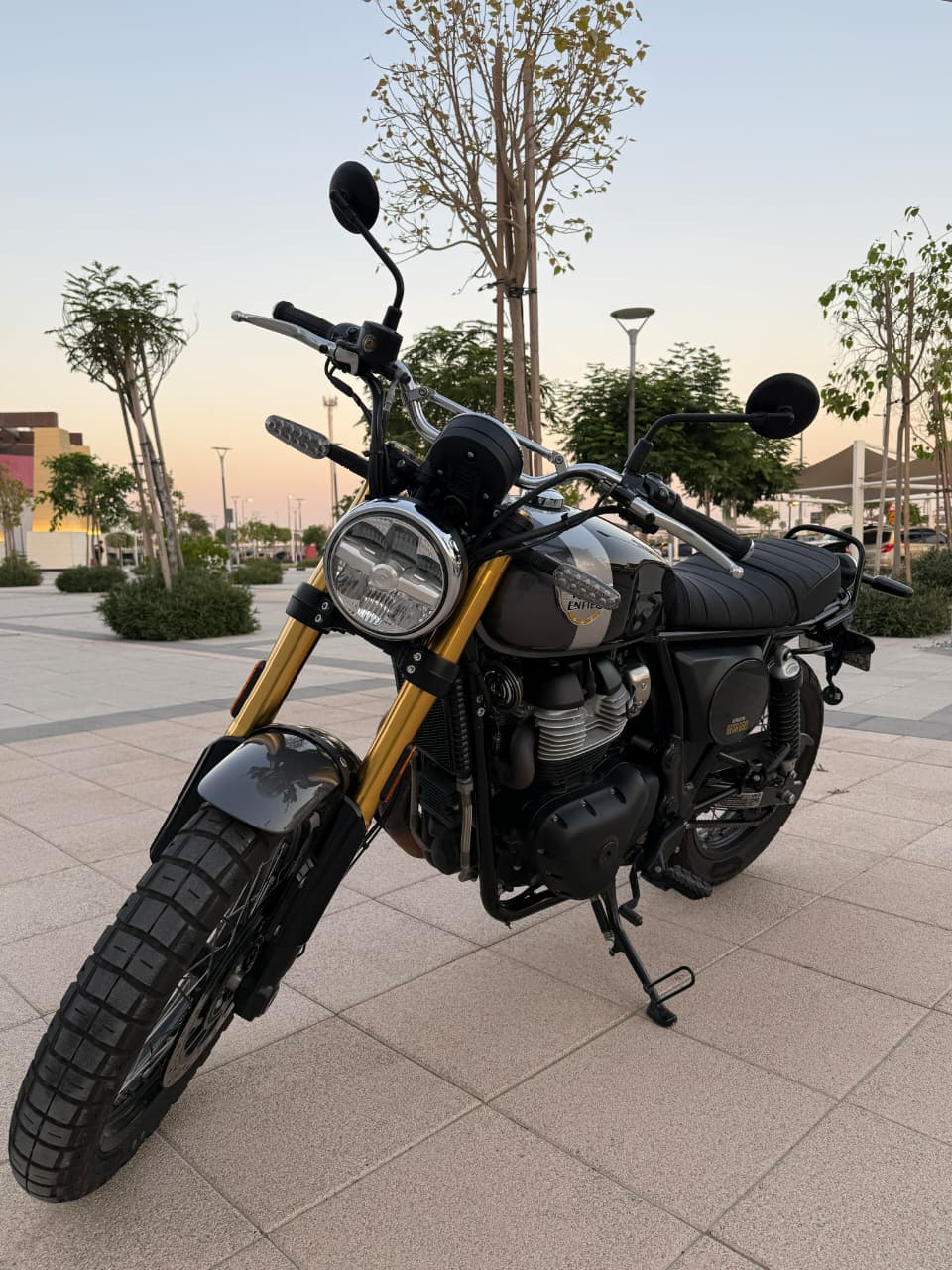 2025 Royal Enfield Bear 650
