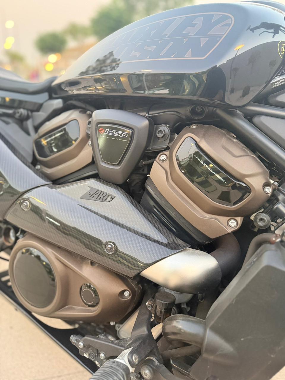 2021 Harley-Davidson Sportster S