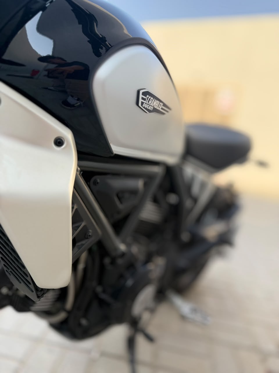 2024 Ducati Scrambler Icon 800