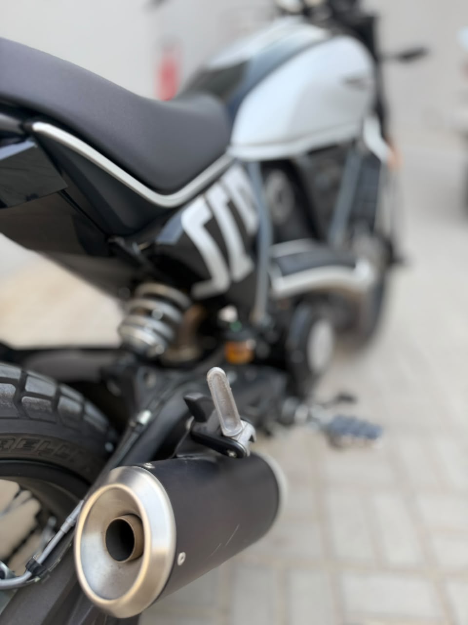 2024 Ducati Scrambler Icon 800