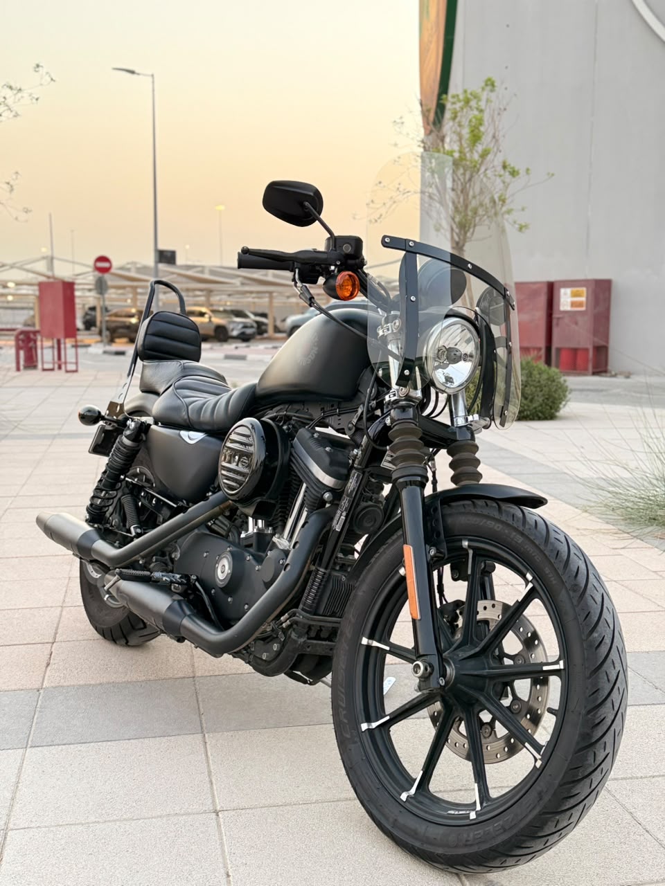 2019 Harley-Davidson Iron 883