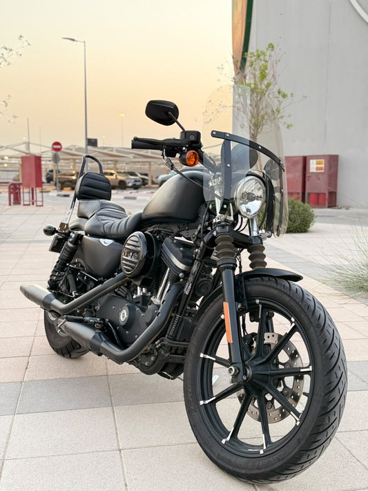 2019 Harley-Davidson Iron 883