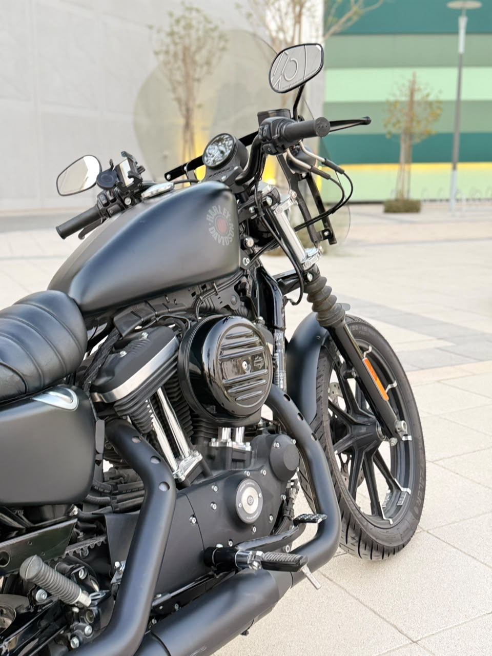 2019 Harley-Davidson Iron 883