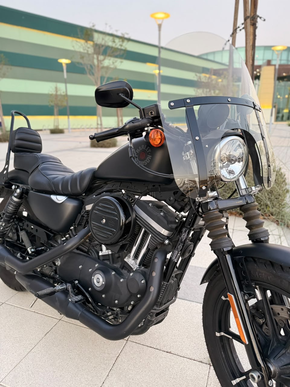 2019 Harley-Davidson Iron 883